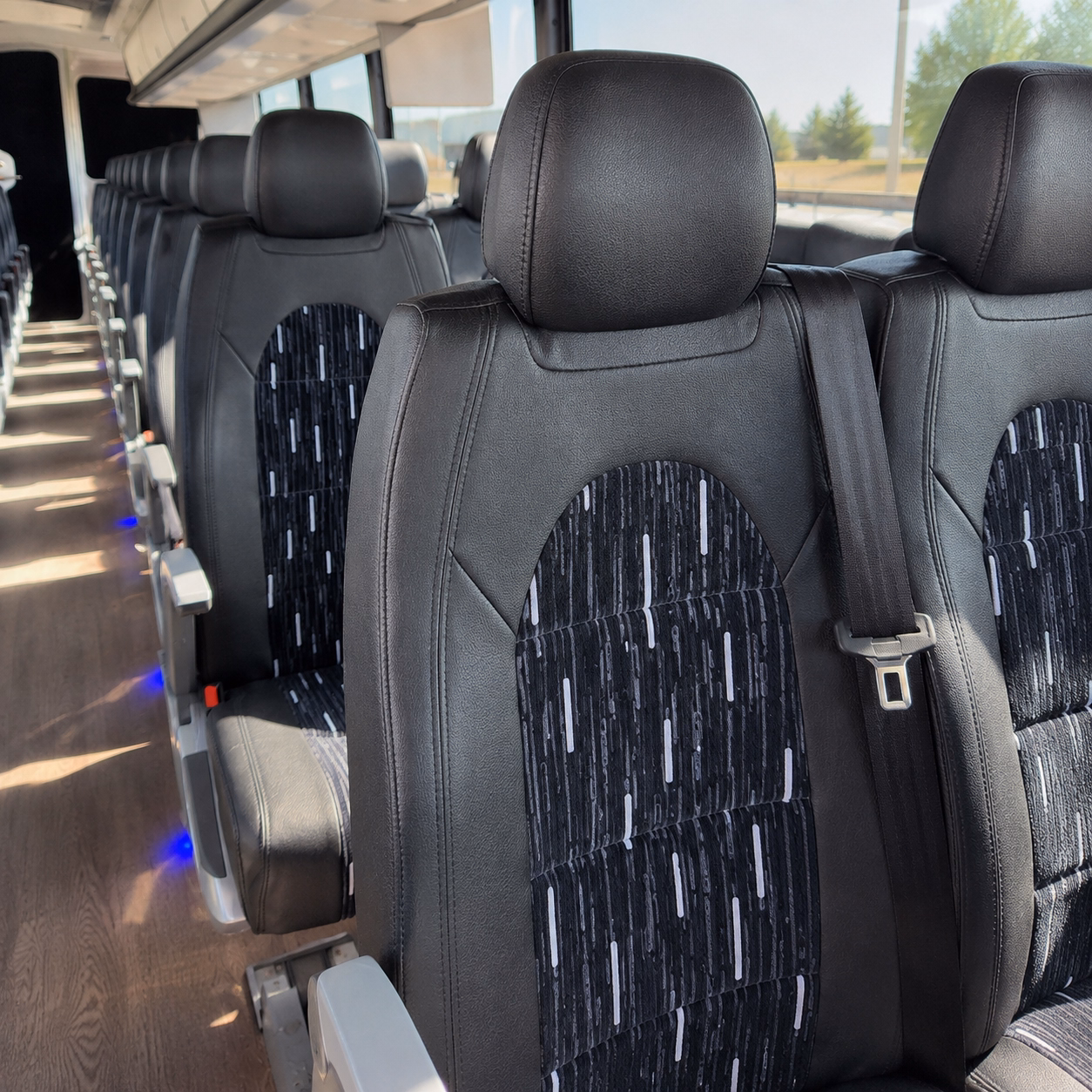 wellington bus rentals