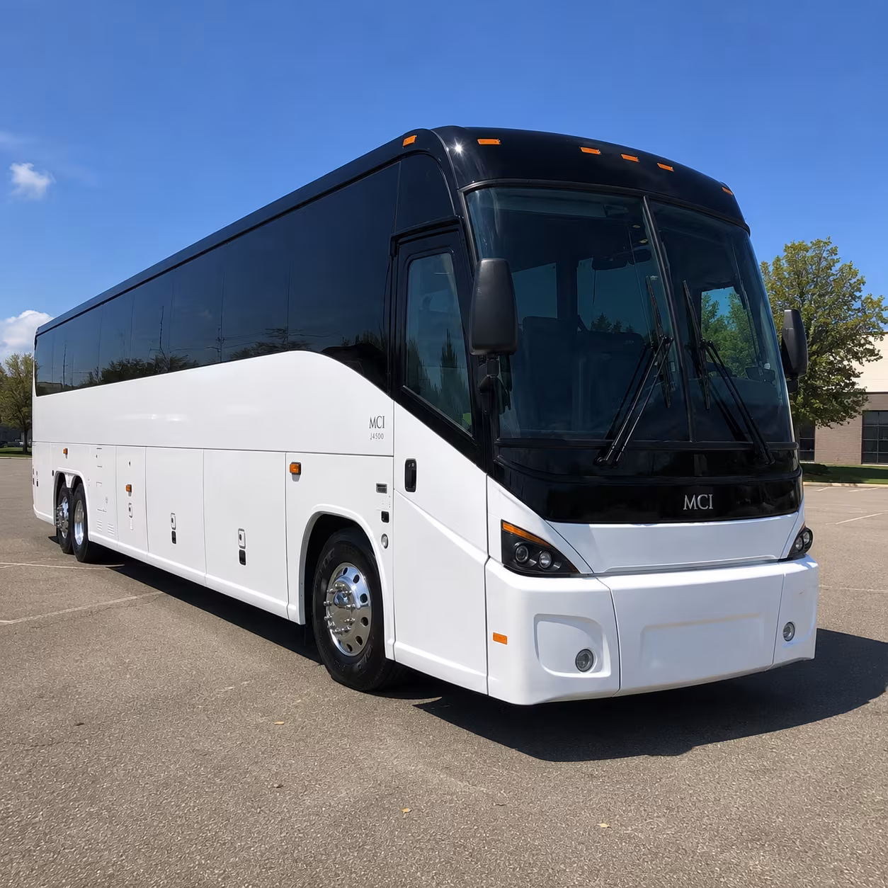 wellington charter bus